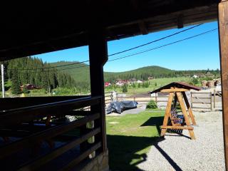 CABANA DORULUI - Tău Bistra - 3
