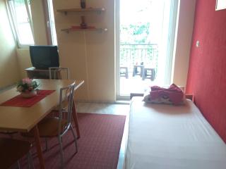 Apartment-Studio Downtown Dudanovi Ohrid - Ohrid - 3