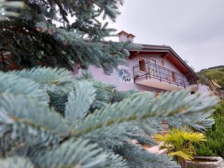 B&B Stella Alpina - 0