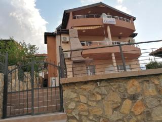 Vila Stefan - Star Dojran - 0