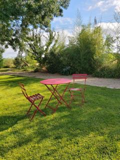 Les Marguerites - Champdolent - 3