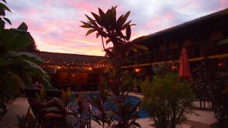 Samara Palm Lodge - Sámara - 8