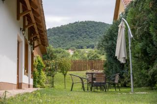 Hajnalka Apartment - Badacsonytomaj - 6