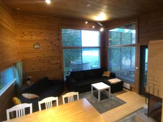 Harmaalokki - Savonlinna - 4