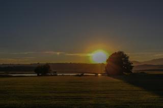 Moorcroft Manor Boutique Country Hotel - 7