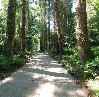 The Mill at Wells House & Gardens - Wexford - 6
