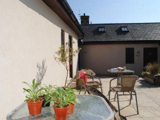 Blas Gwyr - Llangennith - 9
