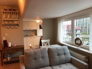 Casa Helena - Nieuwpoort - 0