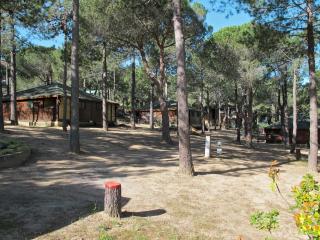 Holiday Home Tramariccia-3 by Interhome - 1