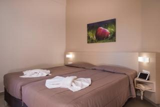 Atrion Resort Hotel - Agia Marina - 5