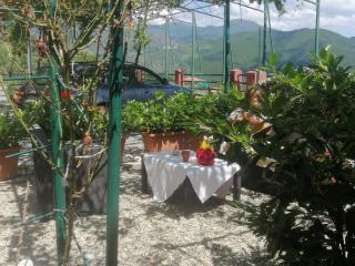 Rooms and Breakfast da Carla - Sestri Levante - 6