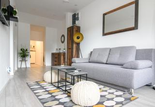 APARTMAN SOKOL**** - Velika Gorica - 5