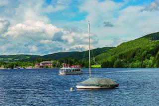 Maritim Titisee Hotel - 9