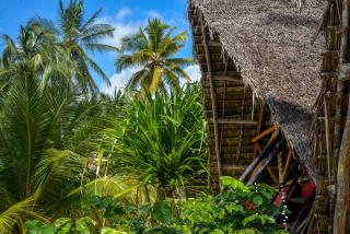Evergreen Bungalows - Bwejuu - 8