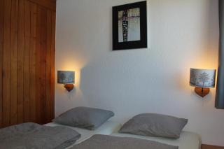 Leysin Lodge - Leysin - 2