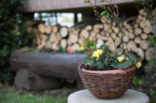 Śmietanówka Agroturystyka - 1