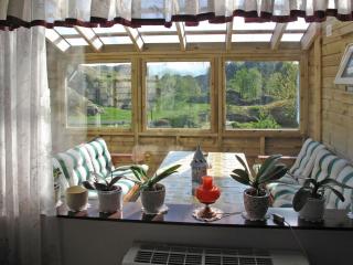 Holiday Home Bjørkeneset by Interhome - Uggdal - 2