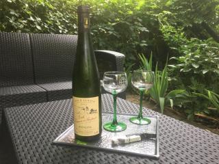 Au Nid de Cigogne - Zellenberg - 4