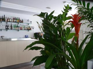 Hotel Haiti - Milano Marittima - 1