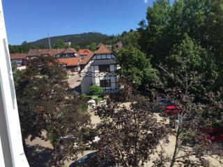 Apartment der Entspannung - Braunlage - 2