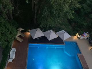 Park and pool family room - 7
