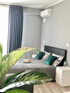 B&B Le Palme - Cassino - 0