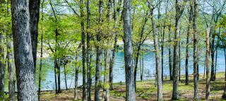Table Rock Resorts at Indian Point - 8
