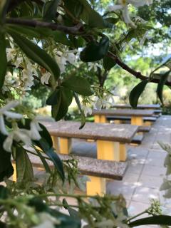 Agriturismo Il Colore del Grano - 7