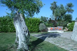 Terra Sessana Ville e Trullo con piscina privata - Ostuni - 6