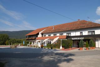 Landhotel Rappenhof - Arnbruck - 3