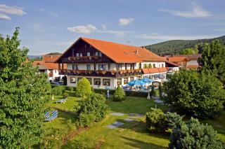 Landhotel Rappenhof - Arnbruck - 7