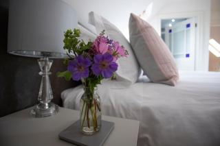 Bay Tree Cottage - Hillsborough - 8