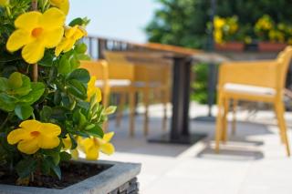 Sea View Guesthouse Opara - Piran - 1