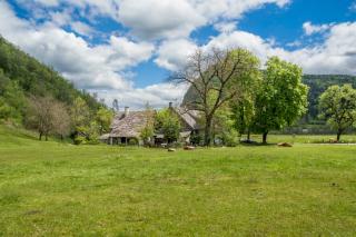 Charming blacksmith`s house @ Lake Bohinj - Bohinj - 9