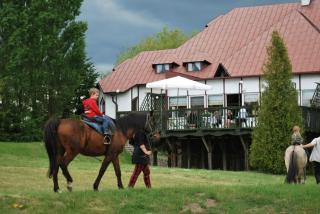 Jabłoniowy Dworek Kociewie - Malenin - 8