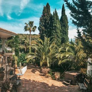 Jardines De La Reina Boutique Bed & Breakfast - Marbella - 4