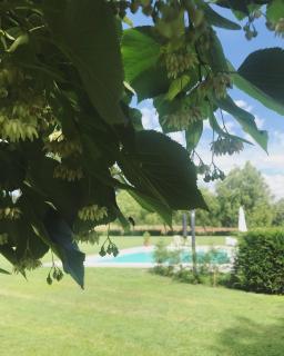 La Scuderia Charming Rooms b&b - 6