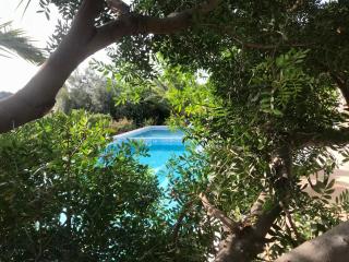 villa Orchidee Sardegna - Capitana - 8