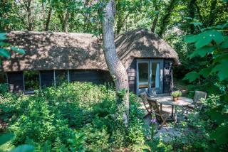 Aa Casia vakantiehuis - Zeegse - 9