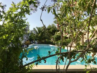 villa Orchidee Sardegna - Capitana - 2