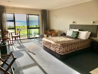 Harbour View Motel on Ahuriri Beach in Napier NZ with sea view suites - Napier - 8