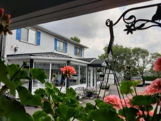 Blue Moon Motel - Niagara Falls - 7