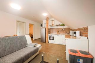 Apartments Rikli Rodine near Bled - Rodine - 8