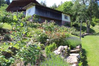 The Moosbach Garden - Nordrach - 1