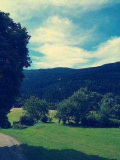 Baumgartnerhof Arriach - Urlaub am Bauernhof - 6