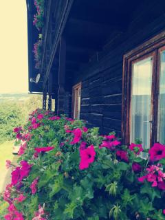 Baumgartnerhof Arriach - Urlaub am Bauernhof - 3