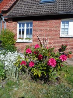 Lütt Verbliev - Malchow - 8