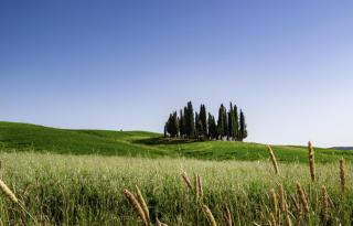 Hotel Corsignano - Pienza - 5