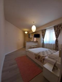 Casa Flamingo - Craiova - 8