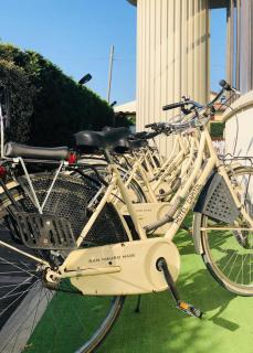 Hotel Capitol - San Mauro a Mare - 6